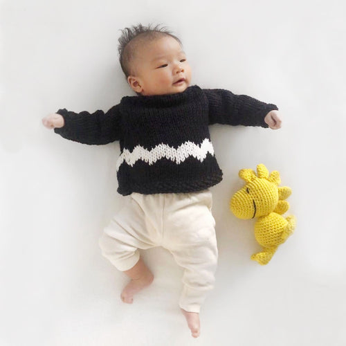 Peanuts: Charlie Brown Baby Sweater Knitting Kit