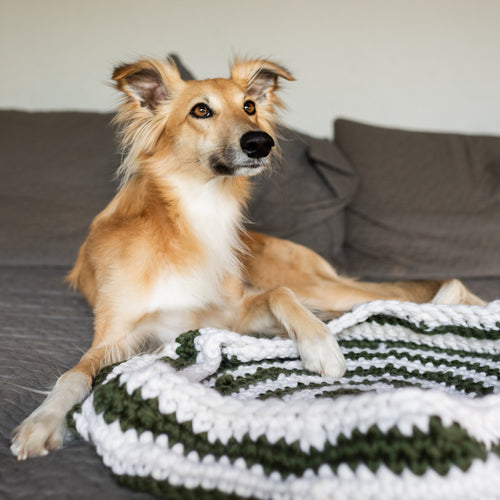 Paws 'n' Chill Pet Basket Downloadable Pattern