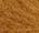 Cedar