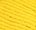Daisy Yellow