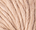 Pastel Beige