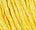 Sunflower Yellow