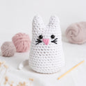 Learn to Amigurumi Crochet Box