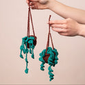 Hanging Plant Duo Amigurumi Crochet Kit