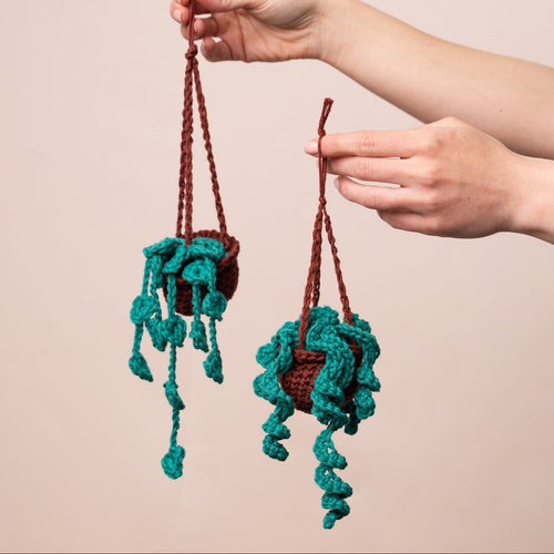 Hanging Plant Duo Amigurumi Crochet Kit
