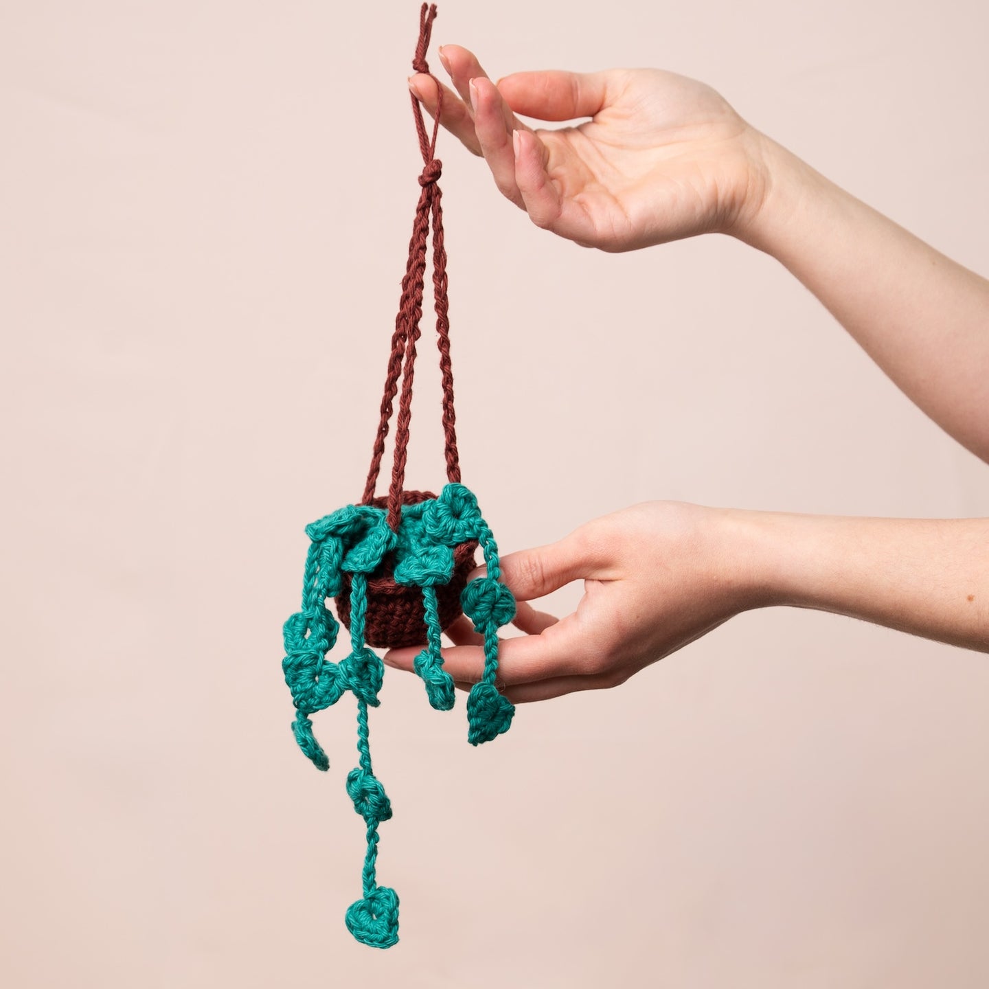 Hanging Plant Duo Amigurumi Crochet Kit