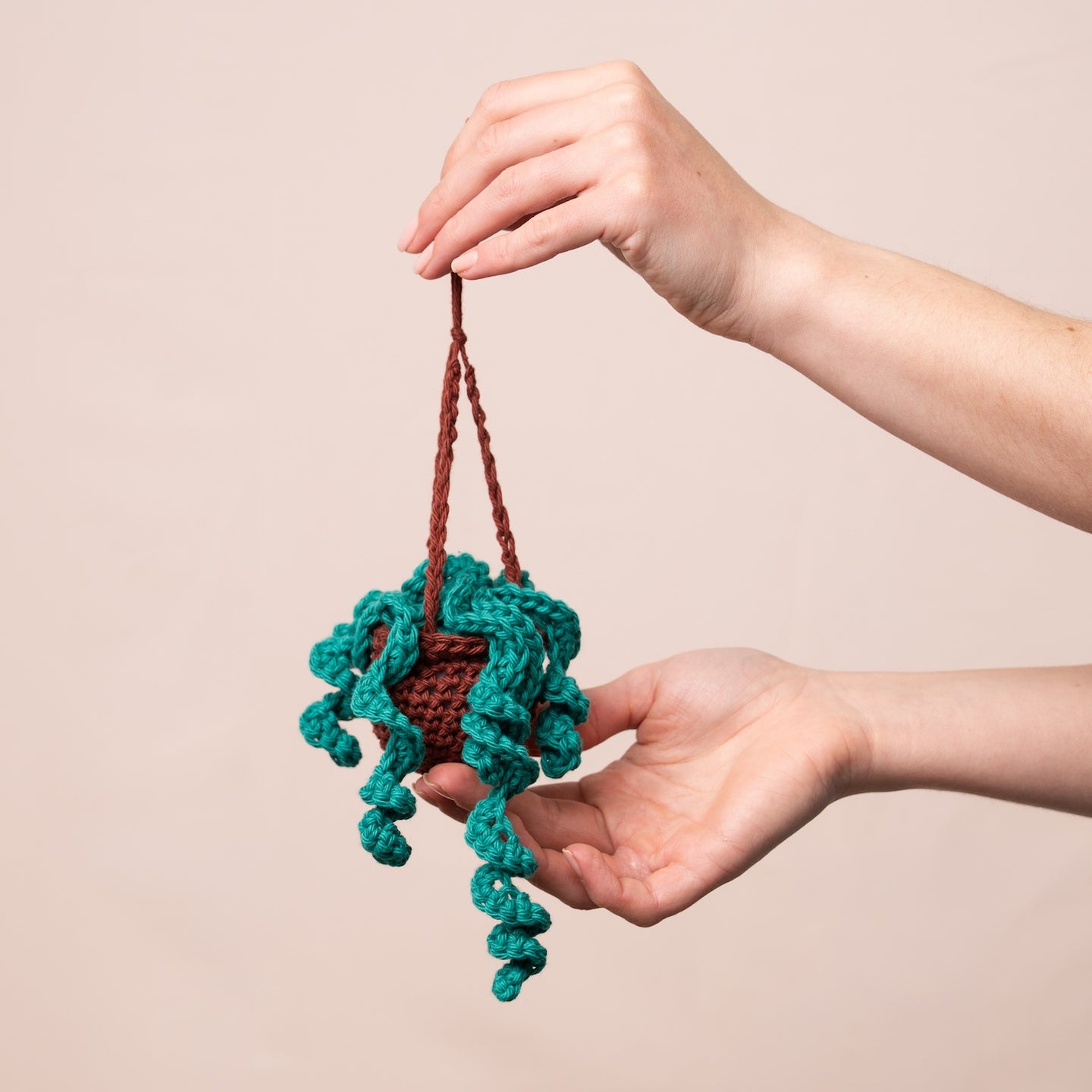 Hanging Plant Duo Amigurumi Crochet Kit