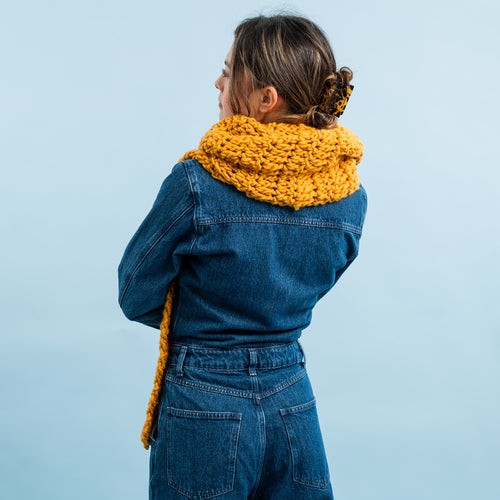 Phoenix Beginners Scarf Crochet kit