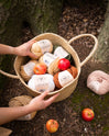 Someone is holding a basket in a forest, showing to the camera their forage of red apples as well as balls of Homstead yarn, Stitch & Story's Super chunky 100% Wool yarn, in 5 different colours