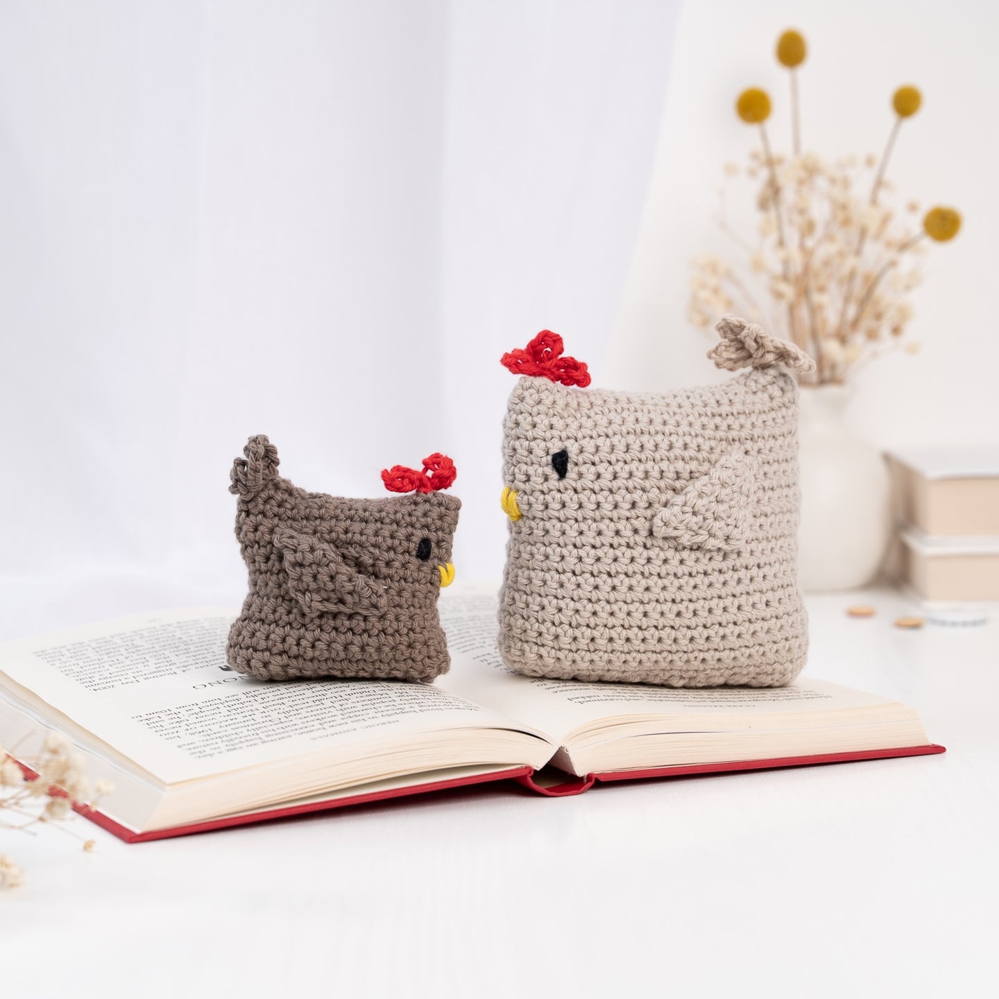 Learn to Crochet Box