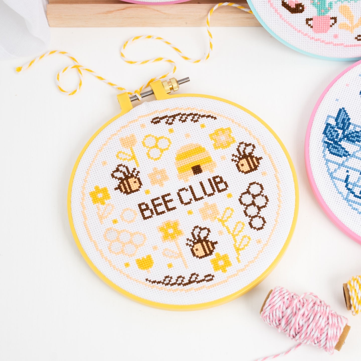 Learn to Cross Stitch Box