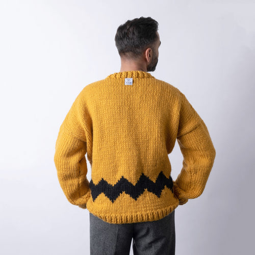 Peanuts: Charlie Brown Men's Sweater Knitting Kit