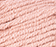 Begonia Pink