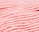 Gerbera Pink