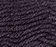 Petunia Black